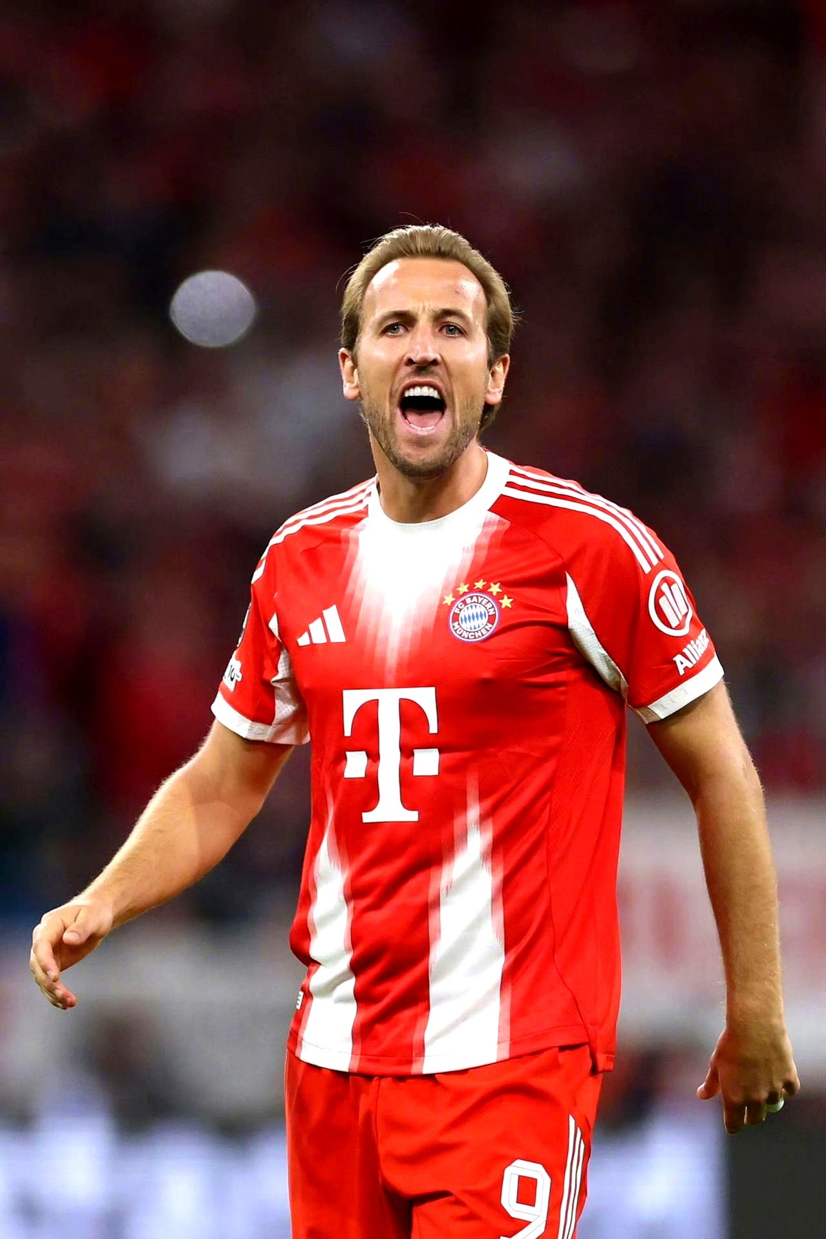 包含拜仁慕尼黑又添新星，德甲霸主实力更上一层楼的词条